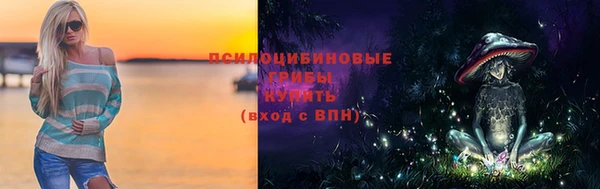 шишки Михайловка