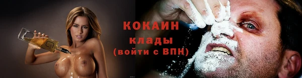 шишки Михайловка