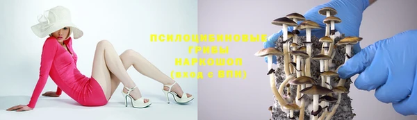 ALPHA PVP Михайловск