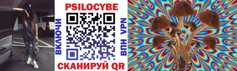 Купить где  Катав-Ивановск  Псилоцибиновые грибы мицелий 